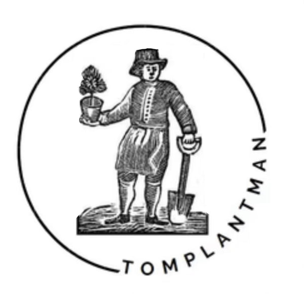 Tomplantman logo